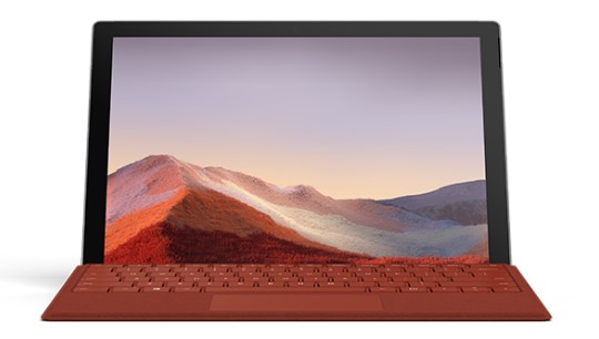 岭口镇清洁和维护 Surface